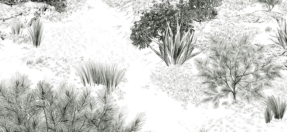 papier-peint-panoramique-dune-@isidoreleroy